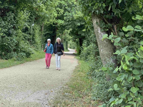 Uferweg rechts der Aare